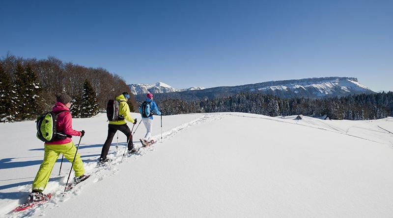 Les Chalets De Ludran Viuz-en-Sallaz Bagian luar foto