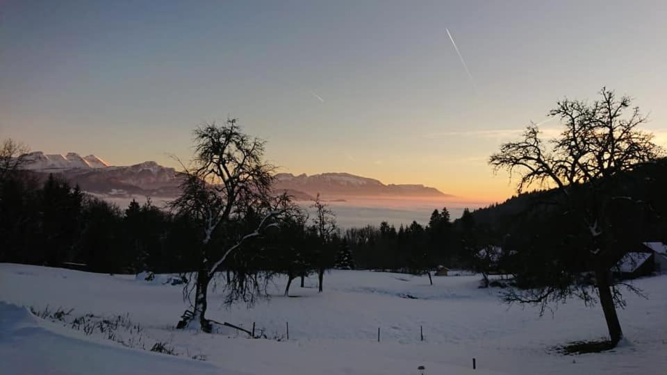 Les Chalets De Ludran Viuz-en-Sallaz Bagian luar foto