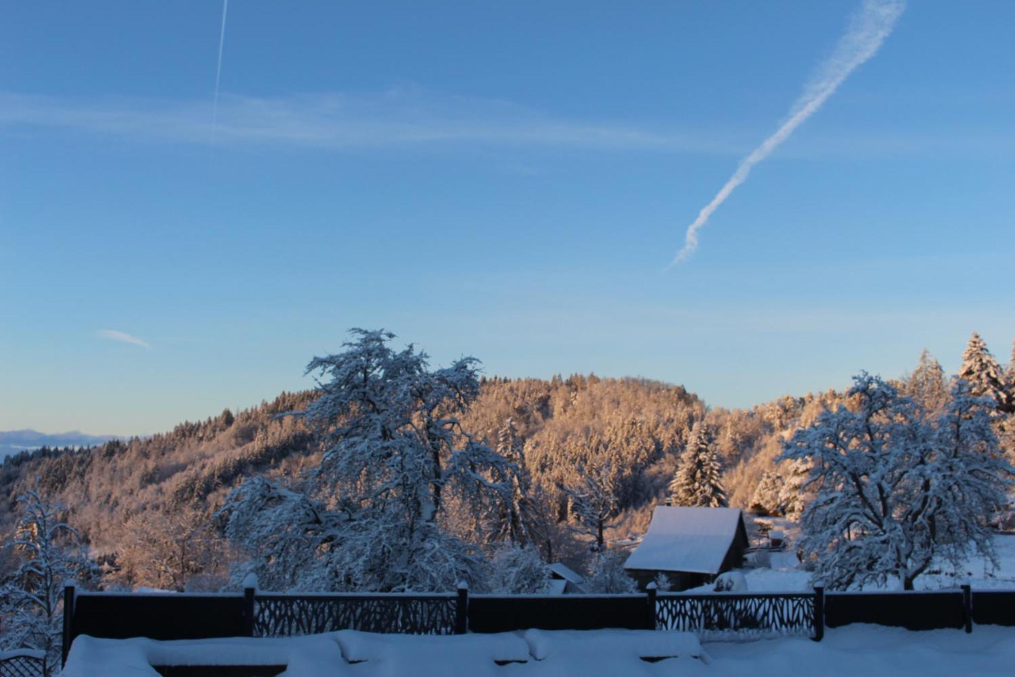 Les Chalets De Ludran Viuz-en-Sallaz Bagian luar foto