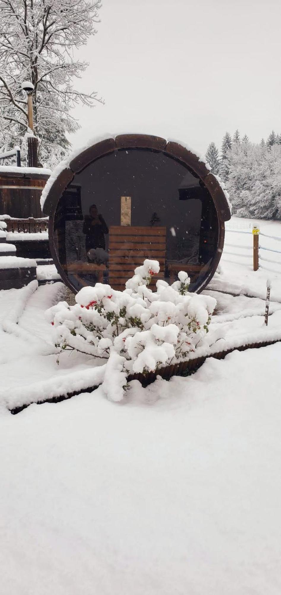 Les Chalets De Ludran Viuz-en-Sallaz Bagian luar foto